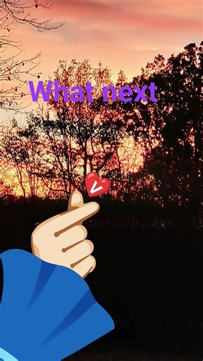 what should i do next