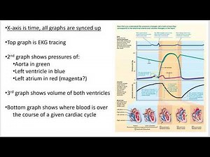 2402 Lecture Chapter 18 Heart 6 PowerPoint Screencast