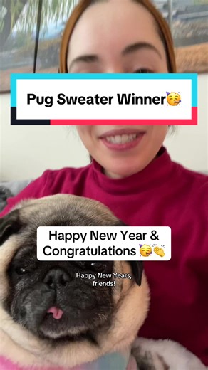Congratulations @Mandy Rae Losoya 🥳 for winning the ugly sweater pug contest 👏🥰 @Kellen Ann #pug #pugsoftiktok #pugs #puglifethuglife #pugmom