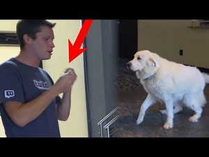 KODA PEES - Episode 1 (Super Cooper Outtakes)
