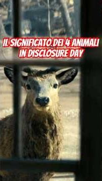 The Meaning of the 4 Animals on Disclosure Day