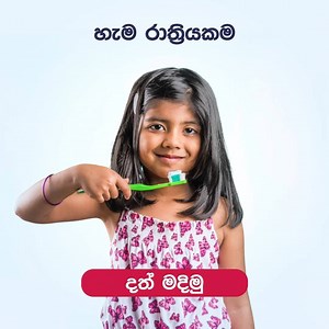 නිදාගන්න කලින් කතන්දර අහන එක වගේම දත් මදින එකත් පුරුද්දක් කලාම, පොඩිත්තන්ගෙ දත් බැක්ටීරියා වලින් රැකගන්න හරිම ලේසියි. #SignalLK #StrongTeeth | Signal