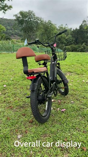 LoonFat T20 Electric Bike Review | 1000W Power, 25 MPH Speed, 30-Mile Range #ebike #zorix# #LoonFat