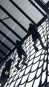 #WorkoutWednesday Our Soldiers are crushing their PT, demonstrating the discipline and dedication it takes to stay strong, mission-ready, and lethal. It's more than just exercise; it's about building the resilience and strength to be ready for whatever comes next. #Fitness #workout #ArmyStrong #army #military #readiness #lethality #FreeAndOpenIndoPacific | U.S. Army Pacific