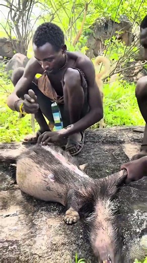 Inside the Daily Life of the World's Oldest Tribe​#HadzabeTribe #PrimitiveSurval#AfricanTribe#shorts