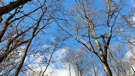 Lancaster County Chooses Love on Reels