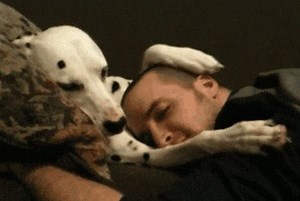 7.9K views · 31 reactions | Today is Opposite Day...So, what's the first thing you'd do if you switched lives with your pet?  | Argos Pet Insurance | Facebook