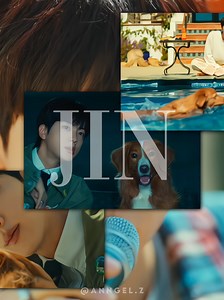 Álbums Completos de BTS para os Fãs Kpop