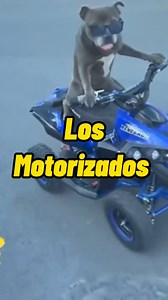 Los motorizados #humor #risa #monteria | Loshermanosvergara