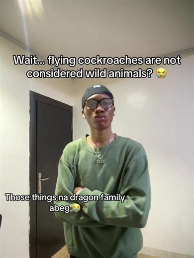 Are Flying Cockroaches Considered Wild Animals?
