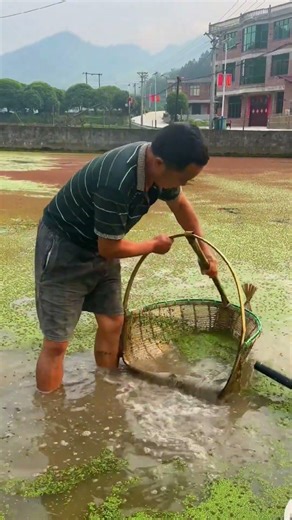 Fishing Rod | Fishing Videos | Fishing Tour | Fishing in River | Fishing in Japan #shorts #fishing