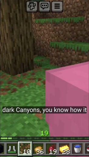 Minecraft I find the rare pink ship in the Minecraft gaming (part 2)