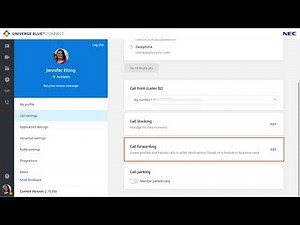 UNIVERGE BLUE CONNECT Customizing Settings