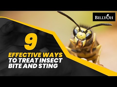 9 Effective Ways to Treat Insect Bites and Stings - Natural Remedies For People Who Loves Outdoors