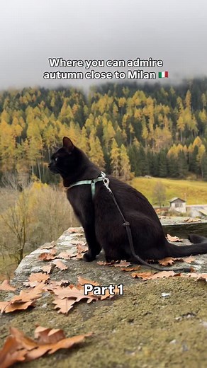 1.4K reactions · 27 comments | Part one! Send this to someone who...