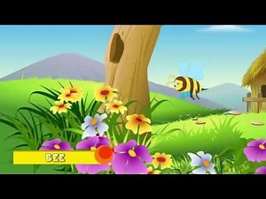 Animal Facts - Bee