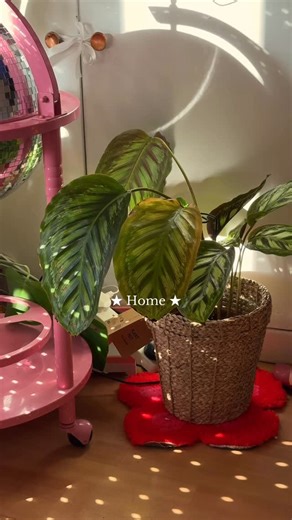 Howrad Studios | Ciara & Rachel ☆ on Instagram: "We love our cosy home 🏡 ⭐️🫶🏻 #Cosyhome #maximalist #colourfulhome #homedecor #crafty"