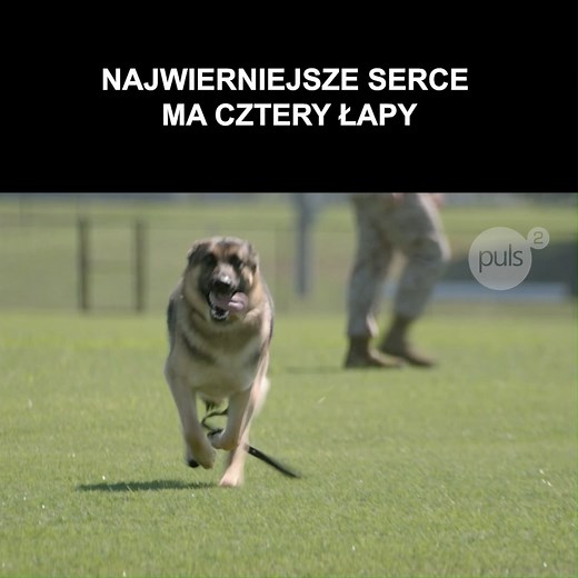 4M views · 116K reactions | Zobacz film oparty na prawdziwej...