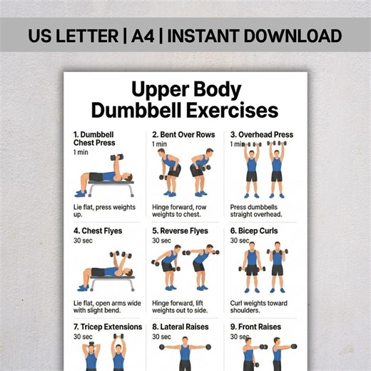 Upper Body Dumbbell Exercises, Printable Workout Chart PDF, Home Dumbbell Workout, Strength Training Infographic, Instant Download - Etsy Australia