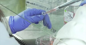 UW-Madison lab sequencing COVID-19 variants found in Wisconsin