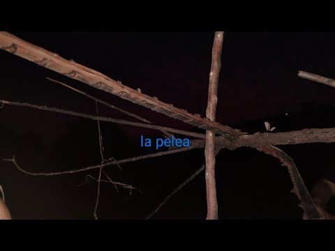 Tercer capítulo de la nueva serie (cosas extrañas)