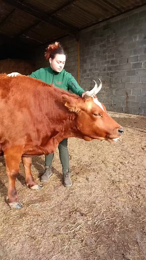 45 reactions · 6 comments | Un tout grand merci à Naomi, @losteopattes pour la séance tout en douceur avec Aube. À cause d'un onglon fendu, la Louloute avait dû porter une talonnette pendant un mois. Une bonne séance d'ostéopathie et de shiatsu pour dénouer ce qui devait l'être et faire circuler les énergies. Aube a été très réceptive au soin. | L'Aurore | Facebook