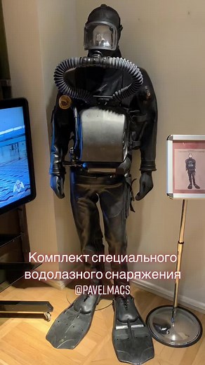 Complete Guide to Diving Suits and Their Features