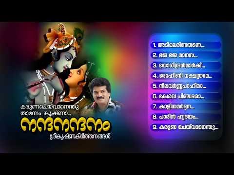 NANDANANDANAM | Hindu Devotional Songs Malayalam | Sree Krishna Audio Jukebox
