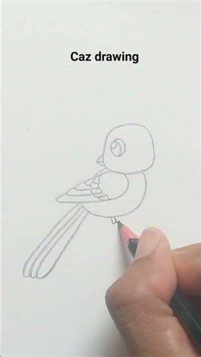 Menggambar Burung Yang Cantik | drawing beatiful bird #art #howtodraw