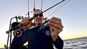 Will this fly actually catch big fish?