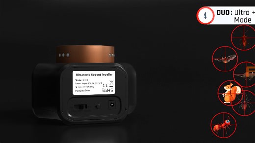 Watch 3D Animated Video about Product Functions on Amazon Live