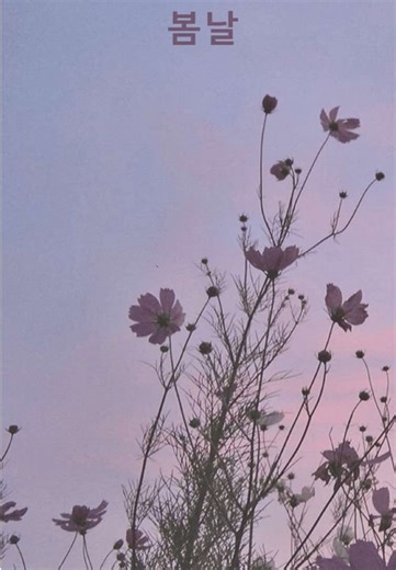 Celebrating Lyrics Knowledge in Music