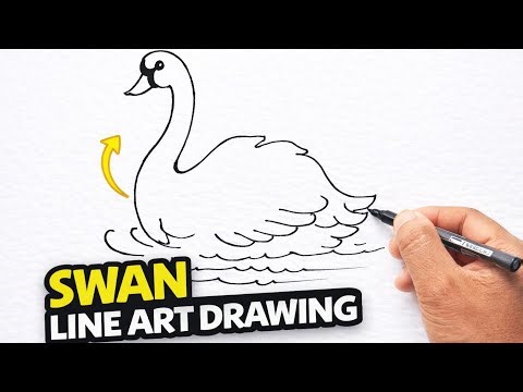 Swan Line Art Drawing | Easy Step by Step Swan Drawing |