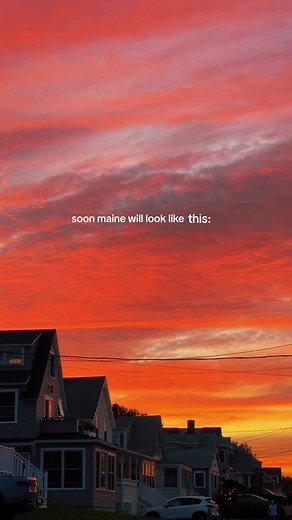 Exploring Summer Vibes in Coastal Maine | Maine Travel Guide