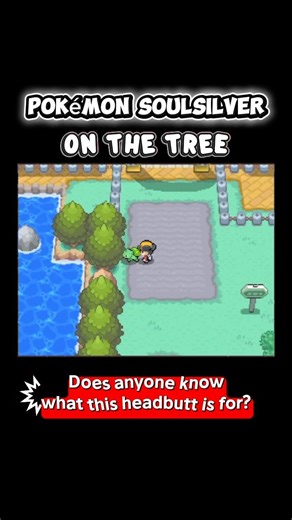 What the function Using Headbutt to Shake Trees 🌳 ⁉️ #pokemon #pokémon #pokemonsoulsilver