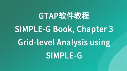 GTAP软件教程--SIMPLE-G第三章 网格经济分析的经济理论
