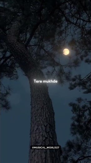 Tenu Chad Ke Kithe Jawan Tu Mera Parchhawa aesthetic lyrics whatsApp status video #viral #explore
