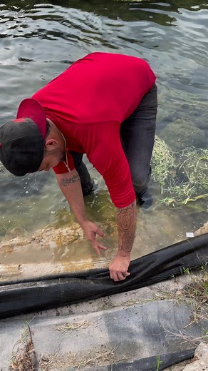747K views · 7.6K reactions | Catching Watersnakes is always fun! So underrated! | Nick The Wrangler | Facebook