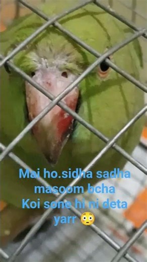 koi sone hi ni deta mujhe😳