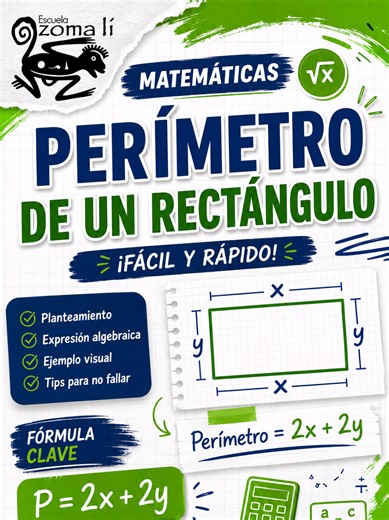 Área y perímetro del rectángulo: ejemplo práctico ECOEMS