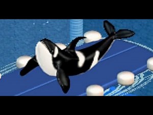 Zoo Tycoon Marine Mania Campaign 1 Orca Show Beginner No Commentary