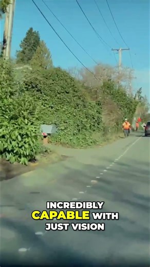 Tesla's Vision AI: The Secret Behind Its Smart Cars