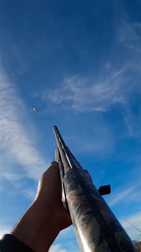 The second one came out of nowhere ! ;-) #goosehunting #duckhunting #waterfowl ‪@bossshotshells‬