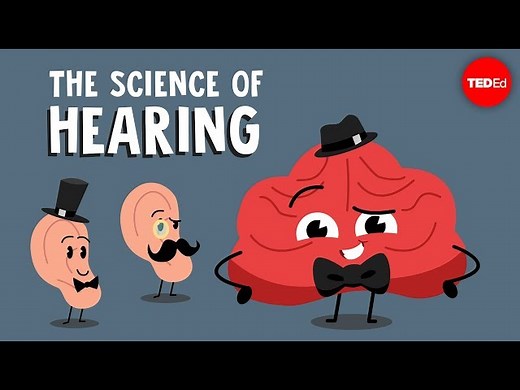 The science of hearing - Douglas L. Oliver - Videos For Kids