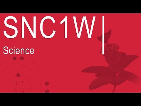 Science, Grade 9, De-streamed (SNC1W)