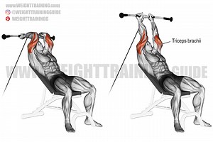 Incline cable triceps extension exercise instructions and video