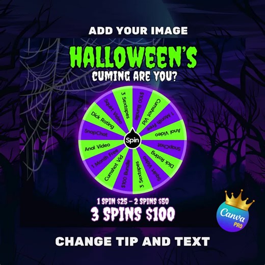 Animated Spin the Wheel Templates: Fansly, Onlyfans Tipping Game (digital Download) - Etsy