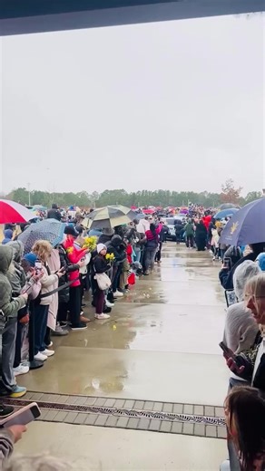 Woman Rescues Dog After Injury During Peaceful Walk