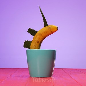 6.4K views · 19 reactions | Revive your indoor plants with these awesome gardening tricks. | Tips & Tricks | Facebook