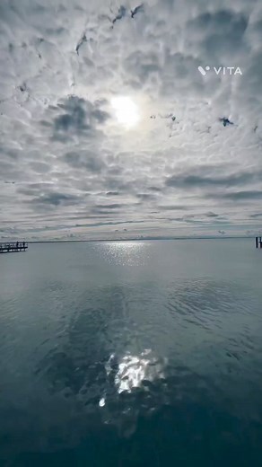 best motivation speech💯 #daily #motivation #powerfulmotivation #successmotivation #lifequotes #hard🔥 | Creative Motivation